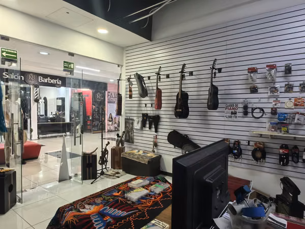 LOCAL MALL SAN PEDRO