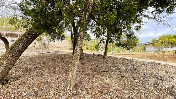 LAND FOR SALE IN SAN PEDRO, SAN RAMON