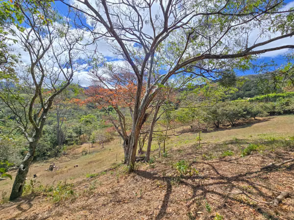 LOT OF 3.010 M2 WITH PANORAMIC VIEWS IN SAN ANTONIO OF ESCAZU (CARRIZAL)