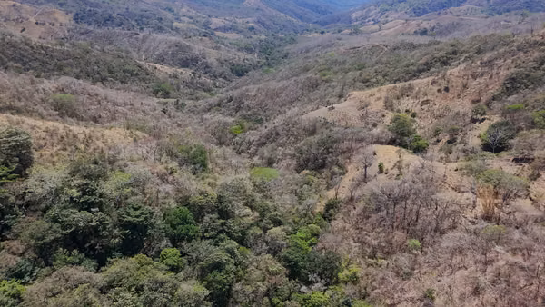 Oportunidad de Inversión: 44 Hectáreas con Agua Propia y Luz a 20 Min. de Nosara