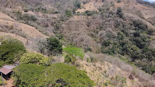 Oportunidad de Inversión: 44 Hectáreas con Agua Propia y Luz a 20 Min. de Nosara