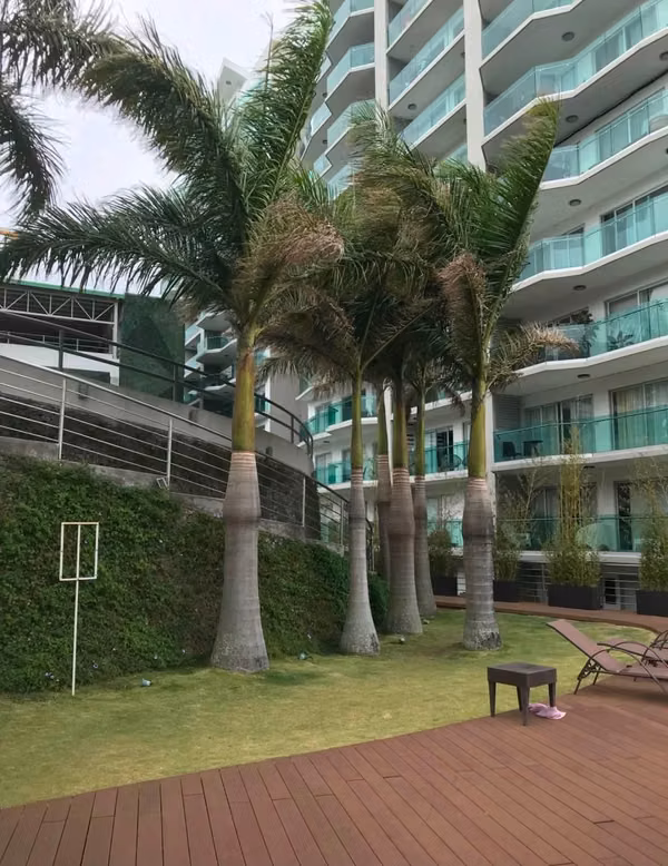 Apartment for Rent at Paradisus Condominium | Rohrmoser