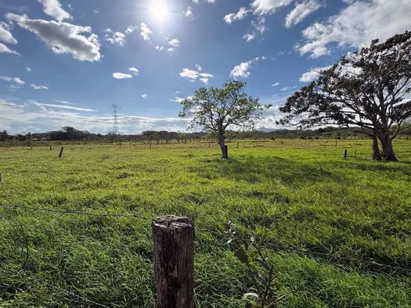 Finca Ganadera en Venta Bagaces, Guanacaste MV-255