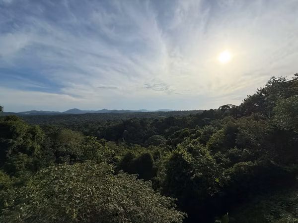 Contemporary 4-Bedroom Santiago Villa with Private Infinity Pool & Lush Jungle Views