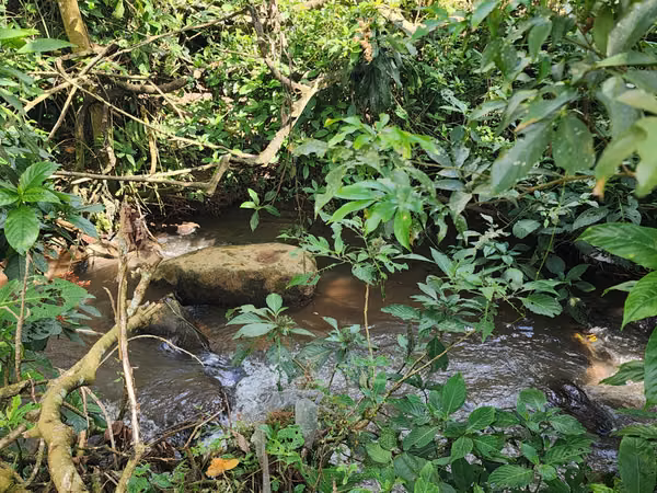 Propiedad con dos  Cabañas y rio al fondo en Sarchí