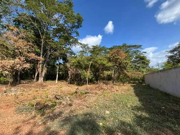For Sale: Lot with Approved Building Permit in Playa Grande