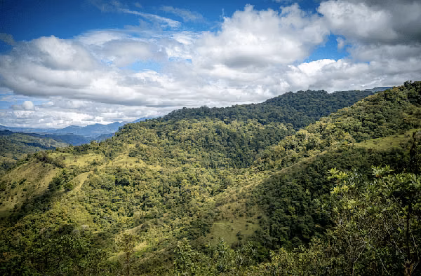 Casa Coyotes: Obra de Arte Sostenible y Retiro de Bosque Nuboso en Cartago