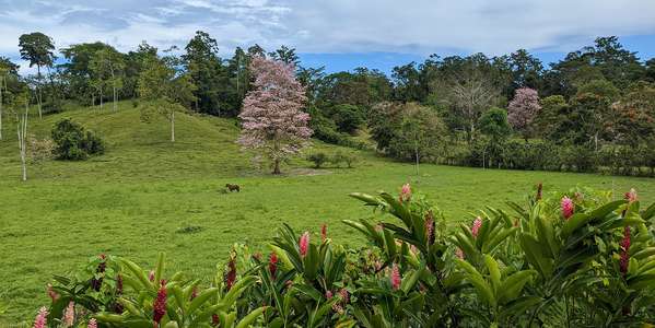 Lot in Puerto Viejo Talamanca - Bio Caribe Eco Village - Fiber Optic