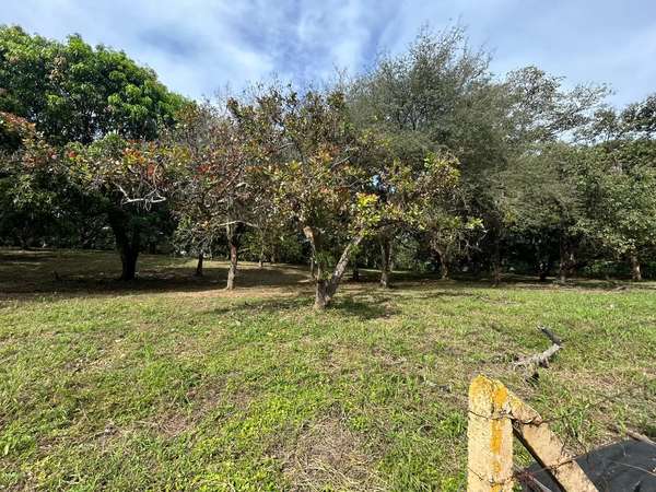10,346 m² Lot with Fruit Trees in Orotina, Alajuela