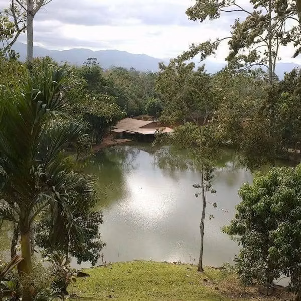 LOT FOR SALE - 124; FLORENCIA, SAN CARLAS. NEAR THE ROUNDABOUT
