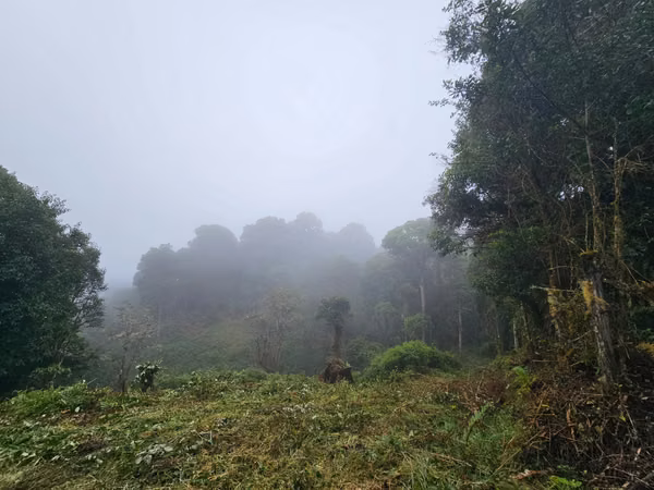 FINCA EN VENTA EN CAÑÓN DEL GUARCO – 6.000 m² CON NACIENTE - 30 MILLONES