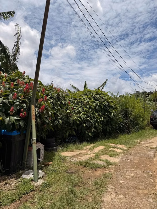 DESAMPARADOS ,PATARRÁ VENTA DE LOTE