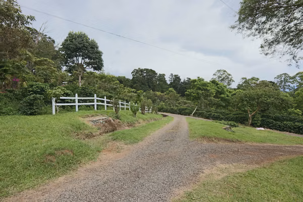 En venta: Finca cafetalera prémium con beneficio propio y gran potencial turístico