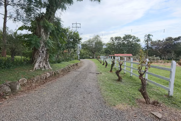 En venta: Finca cafetalera prémium con beneficio propio y gran potencial turístico