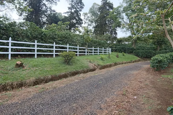 En venta: Finca cafetalera prémium con beneficio propio y gran potencial turístico