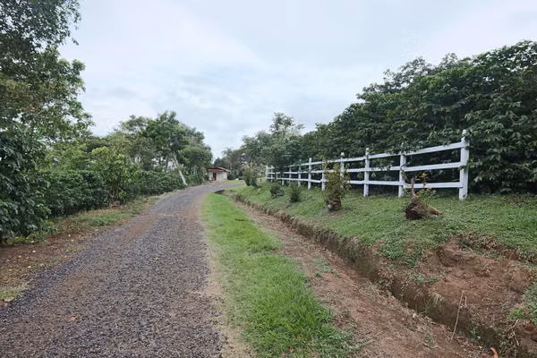 En venta: Finca cafetalera prémium con beneficio propio y gran potencial turístico