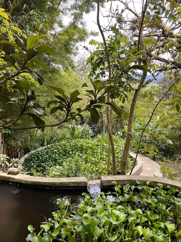 Residencia en conexión con la naturaleza y permacultura, La Carpintera