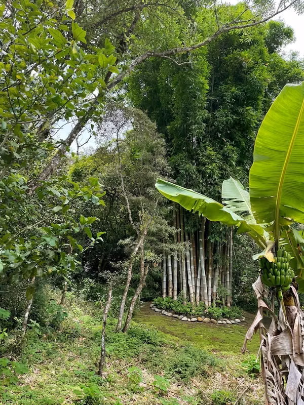 Residencia en conexión con la naturaleza y permacultura, La Carpintera