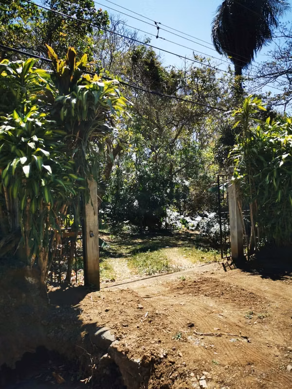 SE VENDE Finca in Guacimo de Athens 5 hectats (Alajuela)