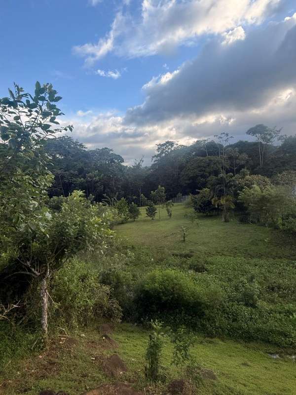 Lote plano en La Tigra