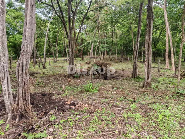 Venta de Lote de 10,502 m² en Belén de Carrillo, Guanacaste.