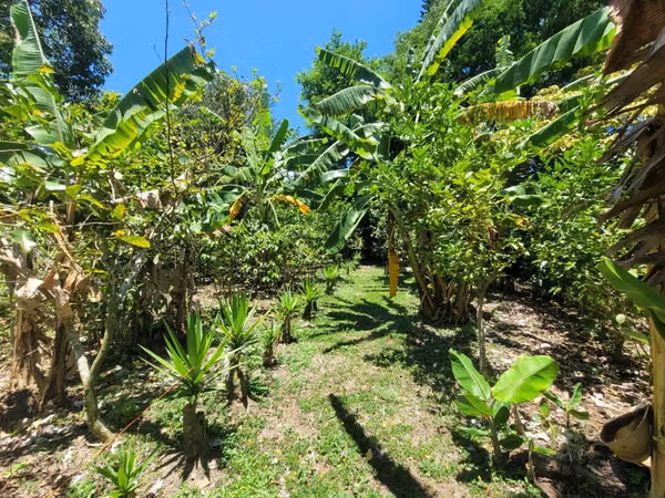 Terrenos en venta con vistas en San Antonio de Escazú