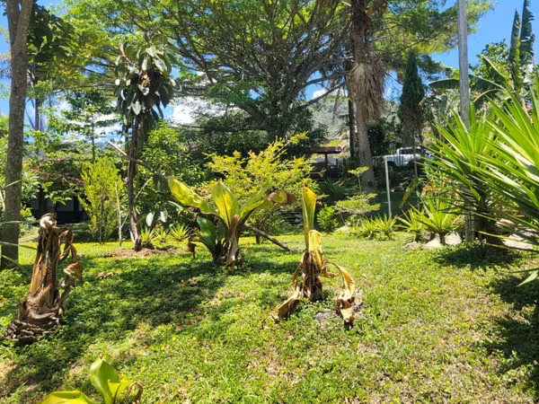 Terrenos en venta con vistas en San Antonio de Escazú