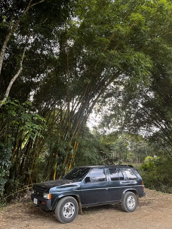 Nissan Pathfinder 1994 4x4 automatic (LPG gas included)