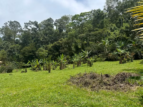 ¡OPORTUNIDAD ÚNICA EN TURRIALBA! Espectacular Finca de 1.8 Hectáreas con Casa Moderna