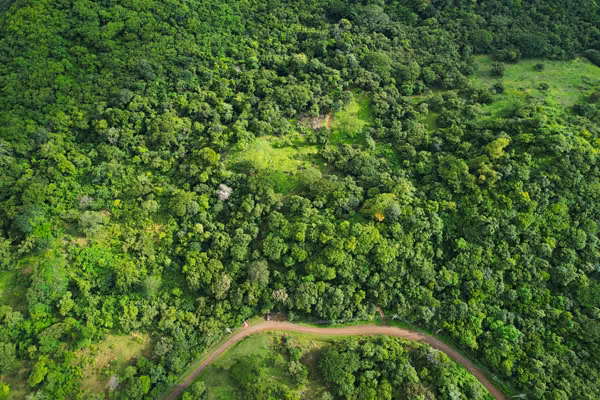 Finca de 32 Hectáreas en Santa Rosa, Guanacaste – Ideal para Proyecto de Quintas