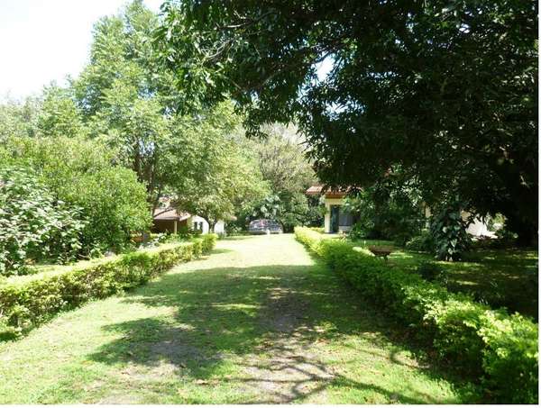 Top-class commercial land for sale in Pozos, Santa Ana