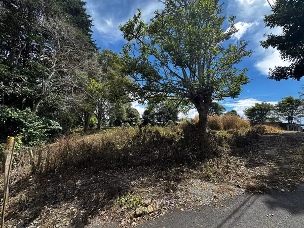 Terreno para desarrollo en Dulce Nombre, La Unión – 6.325 m²