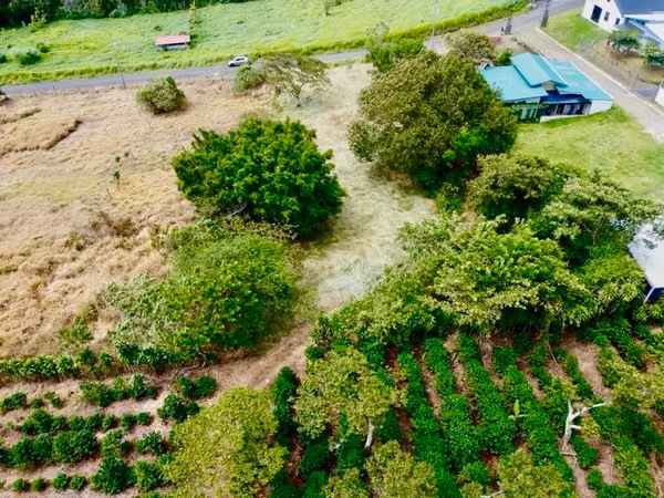 Listo para Construir: Lote Plano, Privado, con Agua, Elec & Vista Incluidos-1,221m² — San Isidro de Grecia