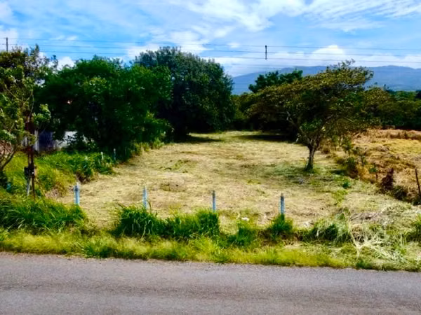 Listo para Construir: Lote Plano, Privado, con Agua, Elec & Vista Incluidos-1,221m² — San Isidro de Grecia