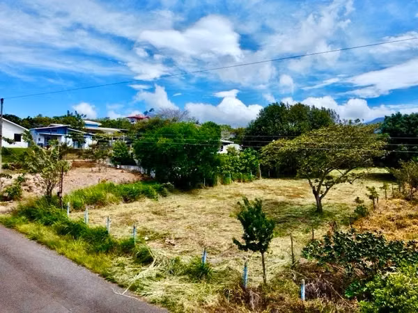 Listo para Construir: Lote Plano, Privado, con Agua, Elec & Vista Incluidos-1,221m² — San Isidro de Grecia