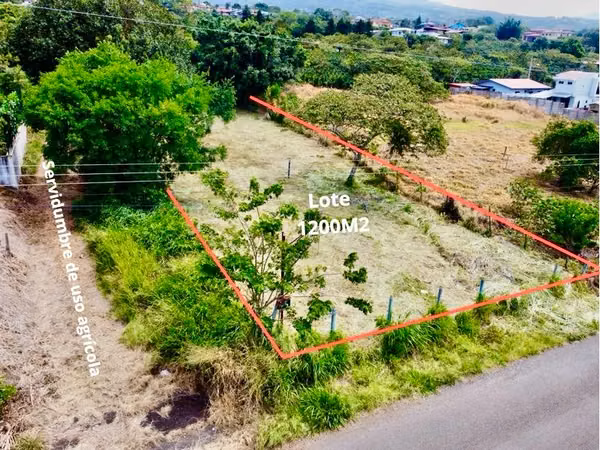 Listo para Construir: Lote Plano, Privado, con Agua, Elec & Vista Incluidos-1,221m² — San Isidro de Grecia