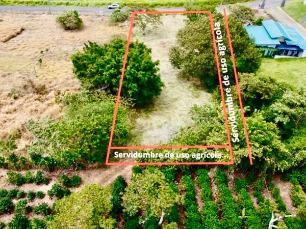 Listo para Construir: Lote Plano, Privado, con Agua, Elec & Vista Incluidos-1,221m² — San Isidro de Grecia