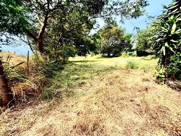 Listo para Construir: Lote Plano, Privado, con Agua, Elec & Vista Incluidos-1,221m² — San Isidro de Grecia