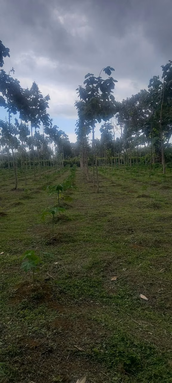 Finca de 10.519 m2 en La Perla, La Fortuna San Carlos
