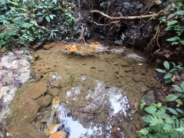 Se Vende Finca Agrícola en Horquetas de Sarapiquí – Cerro Negro MP