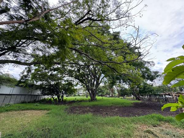 I SELL COMPLETELY FLAT GROUND IN SANTA ANA-ANA WELLS. USE OF MIXED / COMMERCIAL AND RESIDENTIAL SOIL