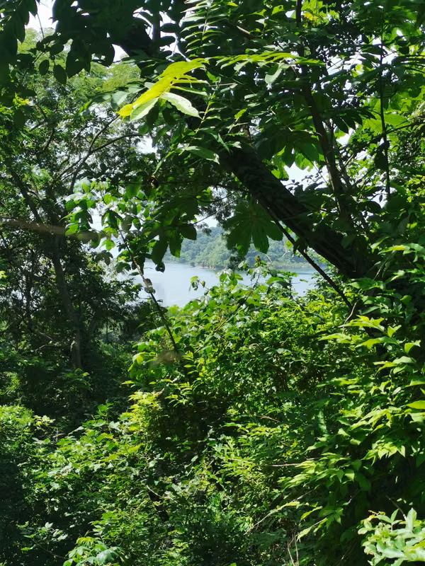 Lote En Playa Gigante, Paquera