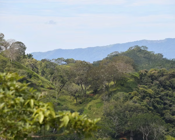 Self-sufficient freedom at Cerro Zapote:  560,000 m² of protected ecosystem with its own springs, sea views