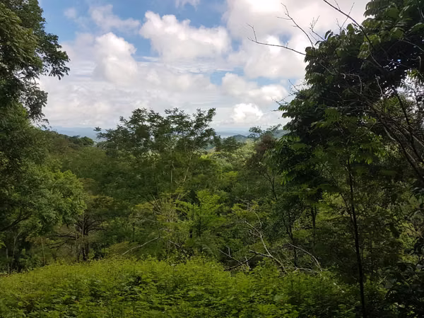 Self-sufficient freedom at Cerro Zapote:  560,000 m² of protected ecosystem with its own springs, sea views