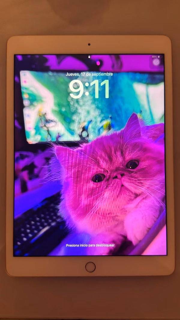 iPad Seventh Generation Gold Pink