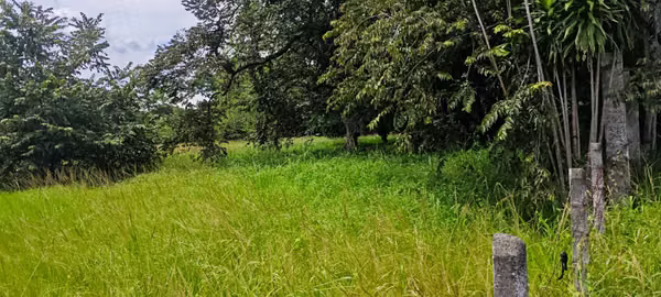 Se Vende Lote 3,813 m² Uso Suelo Mixto - RA
