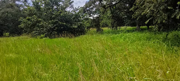 Se Vende Lote 3,813 m² Uso Suelo Mixto - RA