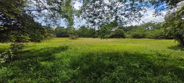 Se Vende Lote 3,813 m² Uso Suelo Mixto - RA