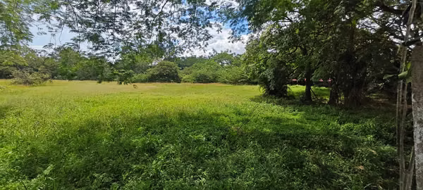 Se Vende Lote 3,813 m² Uso Suelo Mixto - RA