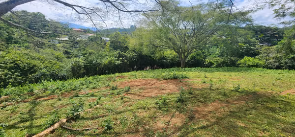 Exclusive Fifth in San Miguel de Orange - privacy, nature and privileged location